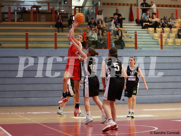 Basketball Superliga 2024/25, SLWU16 Traiskirchen Lionesses vs. DBK Steyrer Witch Cadets


