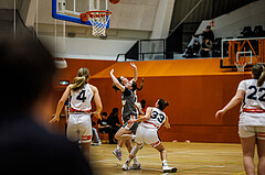 Basketball, Win2Day Basketball Damen Superliga 2024/25, Grunddurchgang 9.Runde, Vienna Timberwolves, Klosterneuburg Duchess, Liz Irthum (8)