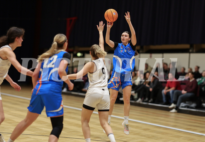 Basketball Damen Superliga 2023/24, Grunddurchgang 11.Runde Basket Flames vs. DBB Wels


