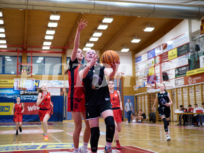 Basketball Superliga 2024/25, SLWU14 Traiskirchen Lionesses vs. Gratkorn Scorpions


