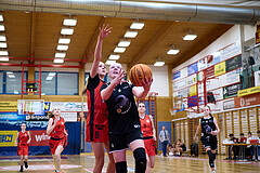 Basketball Superliga 2024/25, SLWU14 Traiskirchen Lionesses vs. Gratkorn Scorpions


