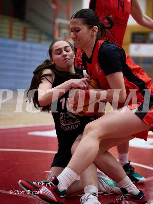 Basketball Superliga 2024/25, SLWU16 Traiskirchen Lionesses vs. BBC Nord Dragons


