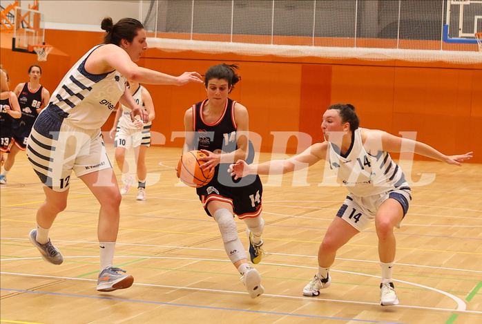 Basketball Damen Zweite Liga 2024/25, Playoffs, Platz 3 BC Vienna 87 vs. TI Innsbruck


