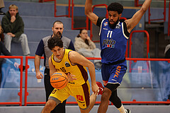 Basketball Zweite Liga 2024/25, Grunddurchgang 1.Runde Traiskirchen Lions NextGen vs. Kufstein Towers


