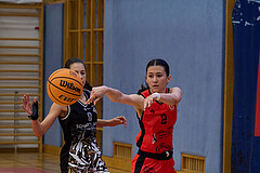 Basketball Superliga 2024/25, SLMU16 Traiskirchen Lionesses vs. VKL Vikings Kammer


