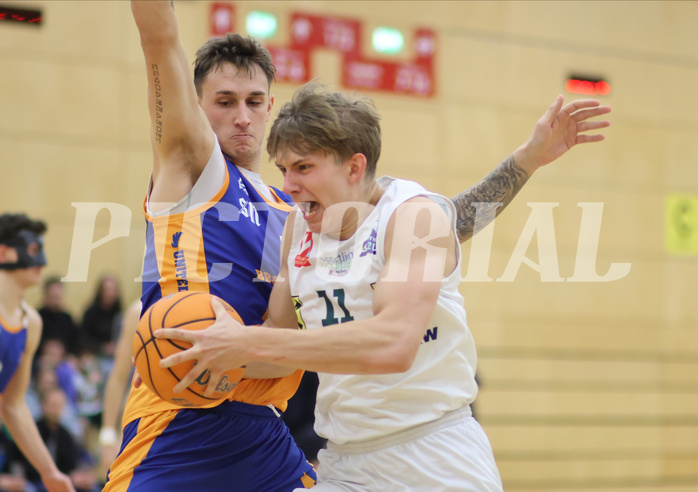 Basketball Zweite Liga 2024/25, Grunddurchgang 14.Runde Dornbirn Lions vs. BBU Salzburg


