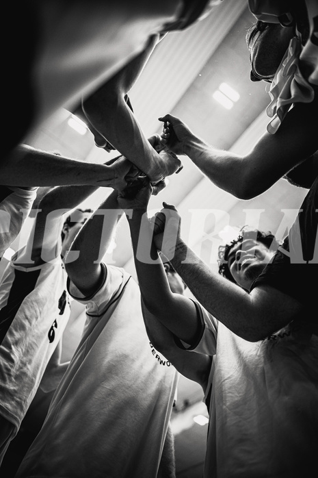 Basketball, Basketball Zweite Liga 2024/25, Grunddurchgang 12.Runde, Vienna Timberwolves, Dornbirn Lions, 