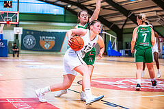 Basketball Basketball Damen Superliga 2021/22, Grunddurchgang 6.Runde Vienna D.C. Timberwolves vs. KOS
