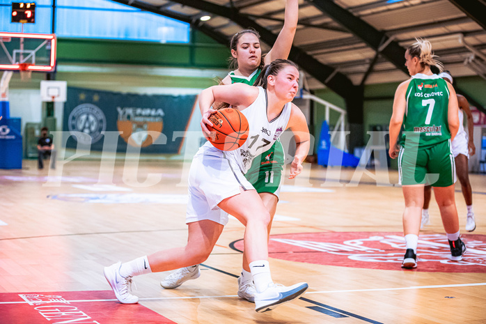 Basketball Basketball Damen Superliga 2021/22, Grunddurchgang 6.Runde Vienna D.C. Timberwolves vs. KOS
