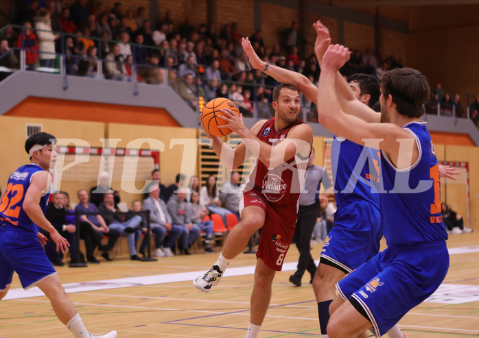 Basketball Zweite Liga 2023/24, Grunddurchgang Spiel 6 Mistelbach Mustangs vs. BBU Salzburg