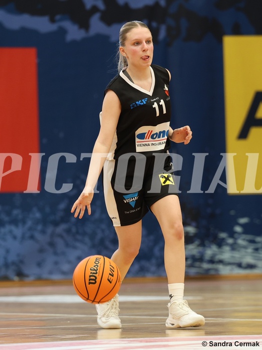 Basketball Superliga 2024/25, SLWU16 Traiskirchen Lionesses vs. DBK Steyrer Witch Cadets


