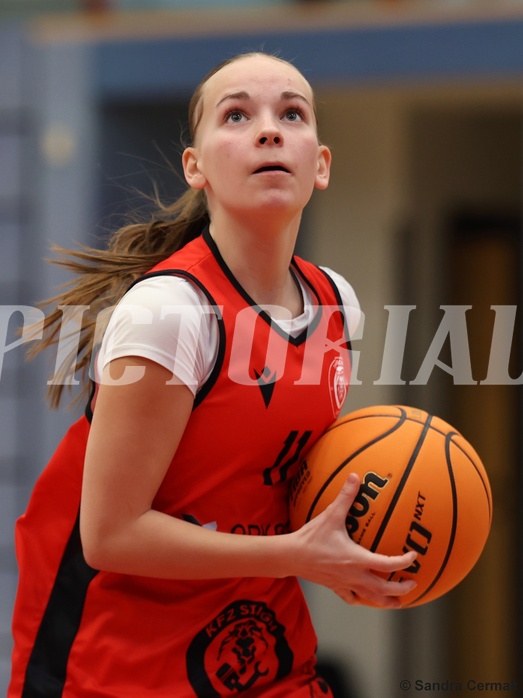 Basketball Superliga 2024/25, SLWU14 Traiskirchen Lionesses vs. UBI Graz



