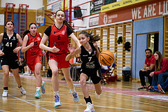 Basketball Superliga 2024/25, SLWU16 Traiskirchen Lionesses vs. BBC Nord Dragons



