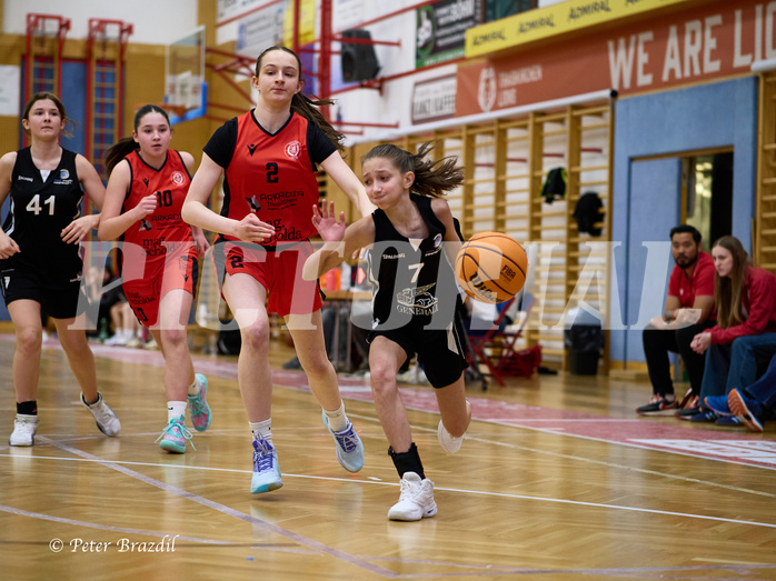 Basketball Superliga 2024/25, SLWU16 Traiskirchen Lionesses vs. BBC Nord Dragons


