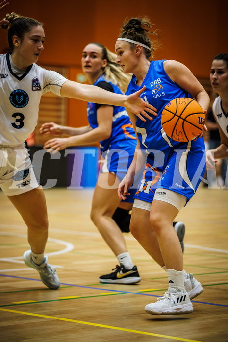 Basketball, Win2Day Basketball Damen Superliga 2023/24, Grunddurchgang 2.Runde, Vienna Timberwolves, DBB LZ OÖ, Sara Solyom (3), Valentina Mayrhofer (11)