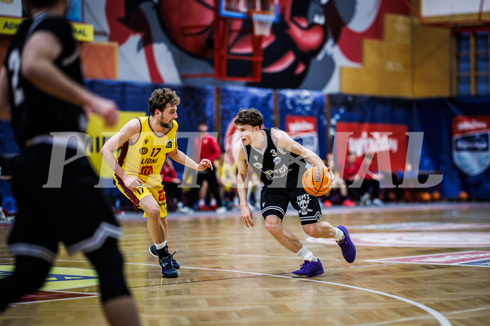 Basketball, Basketball Zweite Liga 2024/25, Grunddurchgang 19.Runde, Traiskirchen Lions NexGen, Wörthersee Piraten, Lukas Simoner (3)