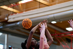 Basketball Superliga 2024/25, SLMU16 Traiskirchen Lionesses vs. VKL Vikings Kammer


