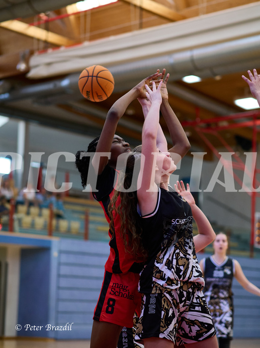 Basketball Superliga 2024/25, SLMU16 Traiskirchen Lionesses vs. VKL Vikings Kammer


