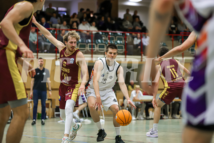 Basketball Zweite Liga 2024/25, Grunddurchgang 5.Runde Vienna United vs. Traiskirchen NextGen


