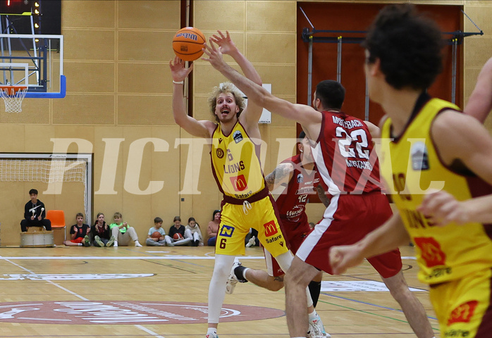 Basketball Zweite Liga 2024/25, Grunddurchgang 9.Runde Mistelbach Mustangs vs. Trasikirchen NextGen


