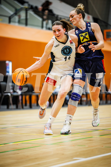 Basketball, Win2Day Basketball Damen Superliga 2023/24, Grunddurchgang 14.Runde, Vienna Timberwolves, SKN St. Pölten, Melanie Fischer (14), Bettina Kunz (71)