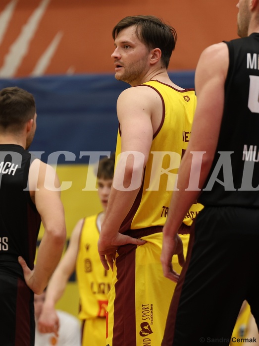 Basketball Zweite Liga 2024/25, Grunddurchgang 22.Runde Traiskirchen Lions NextGen vs. Mistelmach Mustangs