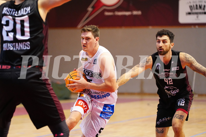 Basketball 2. Liga 2023/24, Grunddurchgang 4.Runde , Güssing vs. Mistelbach


