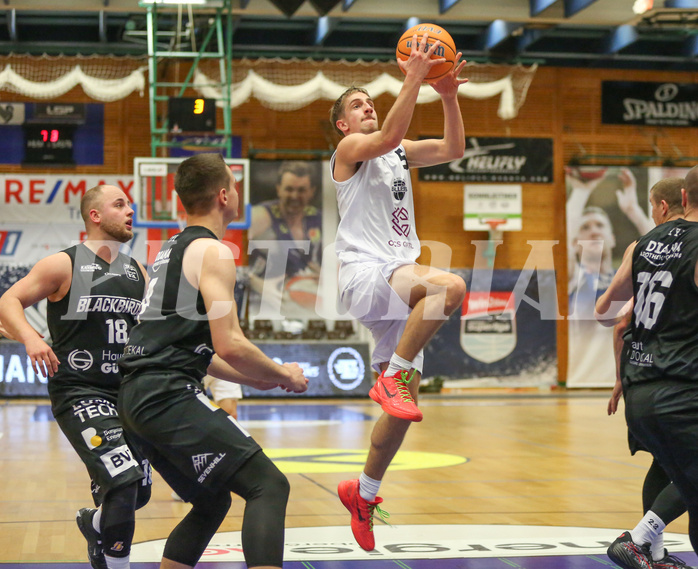 Basketball Zweite Liga 2024/25, Grunddurchgang 22.Runde Upper Austrian Ballers vs. Güssing Blackbirds