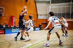 Basketball, Basketball Zweite Liga 2024/25, Grunddurchgang 11.Runde, Vienna Timberwolves, Mattersburg Rocks, Corey Hallett (13), Jakob Konzet (5)