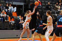 Basketball Damen Supercup 2024/25, 4.Runde BK Duchess Klosterneuburg vs. Vienna Timberwolves


