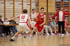 Basketball Superliga 2024/25, SLMU19 Traiskirchen Lions Academy vs. SG Salzkammergut


