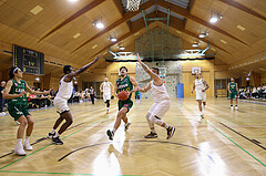 Basketball Zweite Liga 2022/23, Grunddurchgang 4.Runde Basket Flames vs. Dornbirn Lions


