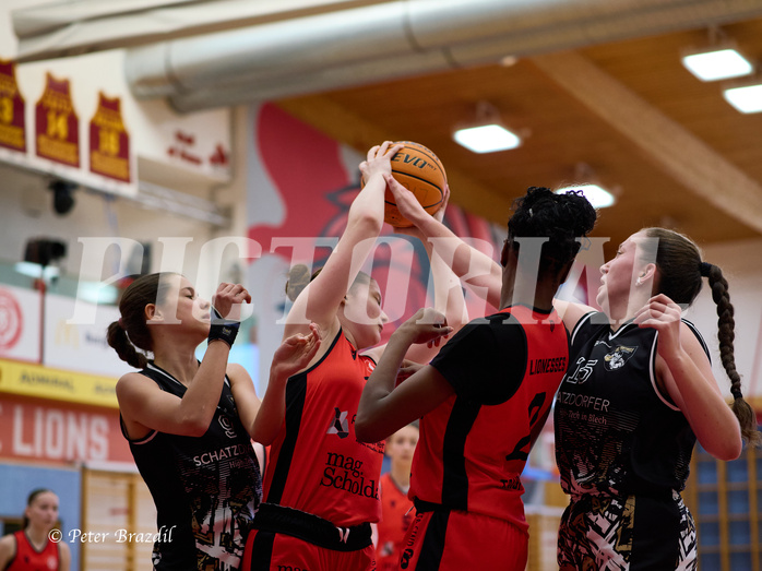 Basketball Superliga 2024/25, SLMU16 Traiskirchen Lionesses vs. VKL Vikings Kammer


