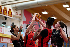 Basketball Superliga 2024/25, SLMU16 Traiskirchen Lionesses vs. VKL Vikings Kammer


