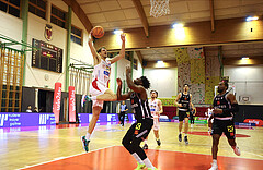 Basketball Superliga 2024/25, Grunddurchgang 19.Runde SKN St. Pölten vs. Fürstenfeld Panthers
