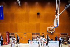 Basketball, Basketball Zweite Liga 2024/25, Grunddurchgang 6.Runde, Vienna Timberwolves, Mistelbach Mustangs, Fans