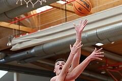 Basketball Superliga 2024/25, SLMU14 Traiskirchen Lions Academy vs. UBSC Juniors


