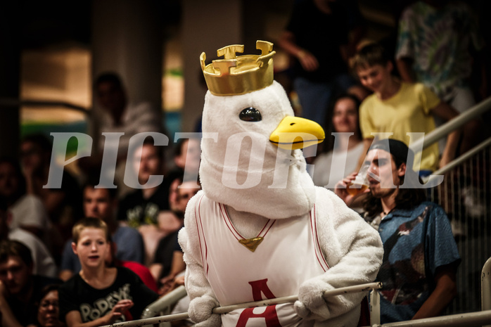Basketball, FIBA EuroBasket 2025 Qualifiers , , AUSTRIA, IRELAND, Airwin (Maskottchen)