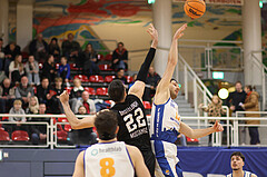 Basketball Zweite Liga 2024/25, Grunddurchgang 12.Runde BBU Salzburg vs. Mistelbach Mustangs


