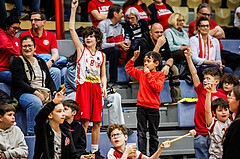 Basketball, Win2Day Superliga 2024/25, 2. Platzierungsrunde, Traiskirchen Lions, Oberwart Gunners, Zuschauer