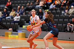 Basketball Damen Supercup 2024/25, 4.Runde BK Duchess Klosterneuburg vs. Vienna Timberwolves



