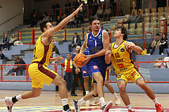 Basketball Zweite Liga 2024/25, Grunddurchgang 1.Runde Traiskirchen Lions NextGen vs. Kufstein Towers


