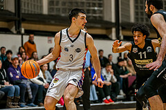 Basketball Zweite Liga 2024/25, Grunddurchgang 15.Runde Vienna United vs. Mattaersburg Rocks


