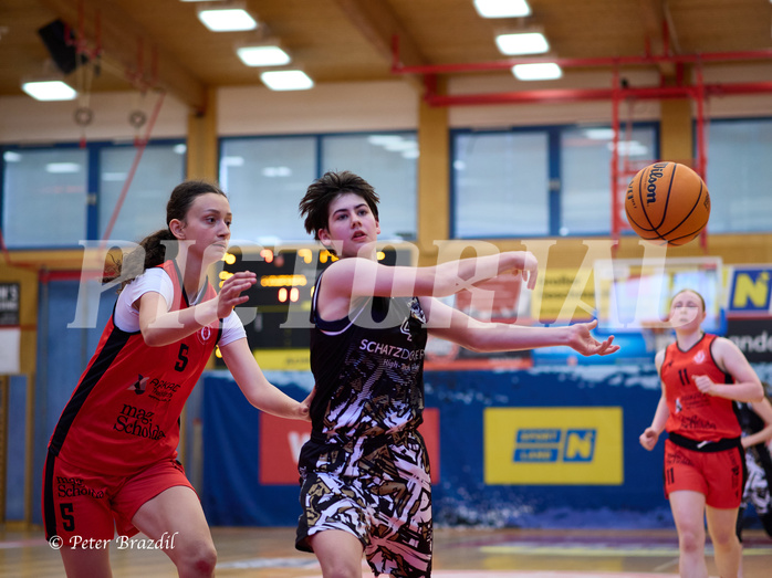 Basketball Superliga 2024/25, SLMU16 Traiskirchen Lionesses vs. VKL Vikings Kammer



