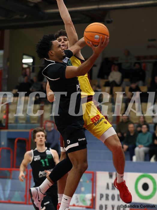 Basketball Zweite Liga 2024/25, Grunddurchgang 12.Runde Traiskirchen Lions NextGen vs. Deutsch Wagram Alligators