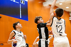 08.03.2025 Österreichischer Basketballverband 2024/25, SLMU14, SU Döbling vs. BBC Nord Dragonz