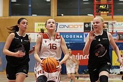 Basketball Superliga 2024/25, SLWU14 Traiskirchen Lionesses vs. ATUS Gratkorn Scorpions


