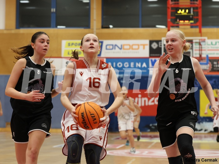 Basketball Superliga 2024/25, SLWU14 Traiskirchen Lionesses vs. ATUS Gratkorn Scorpions


