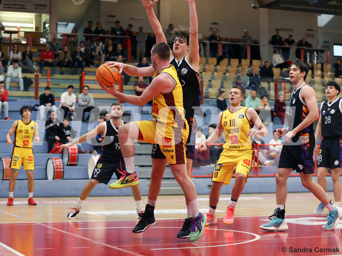 Basketball Zweite Liga 2024/25, Grunddurchgang 16.Runde Traiskirchen Lions NextGen vs. Vienna United