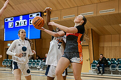 23.02.2025 Österreichischer Basketballverband 2024/25, SLWU16 Vienna Timberwolves vs. Basket Duchess
